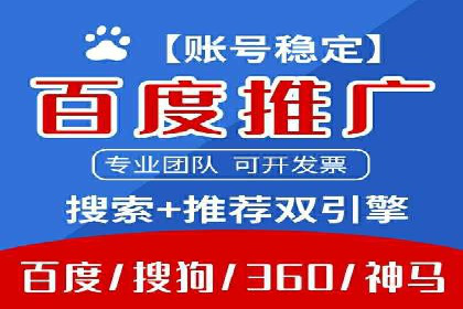 成功SEM服务案例分析报告